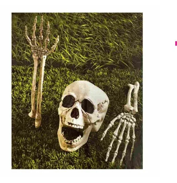 3pcs Lawn Stake Human Skeleton Parts