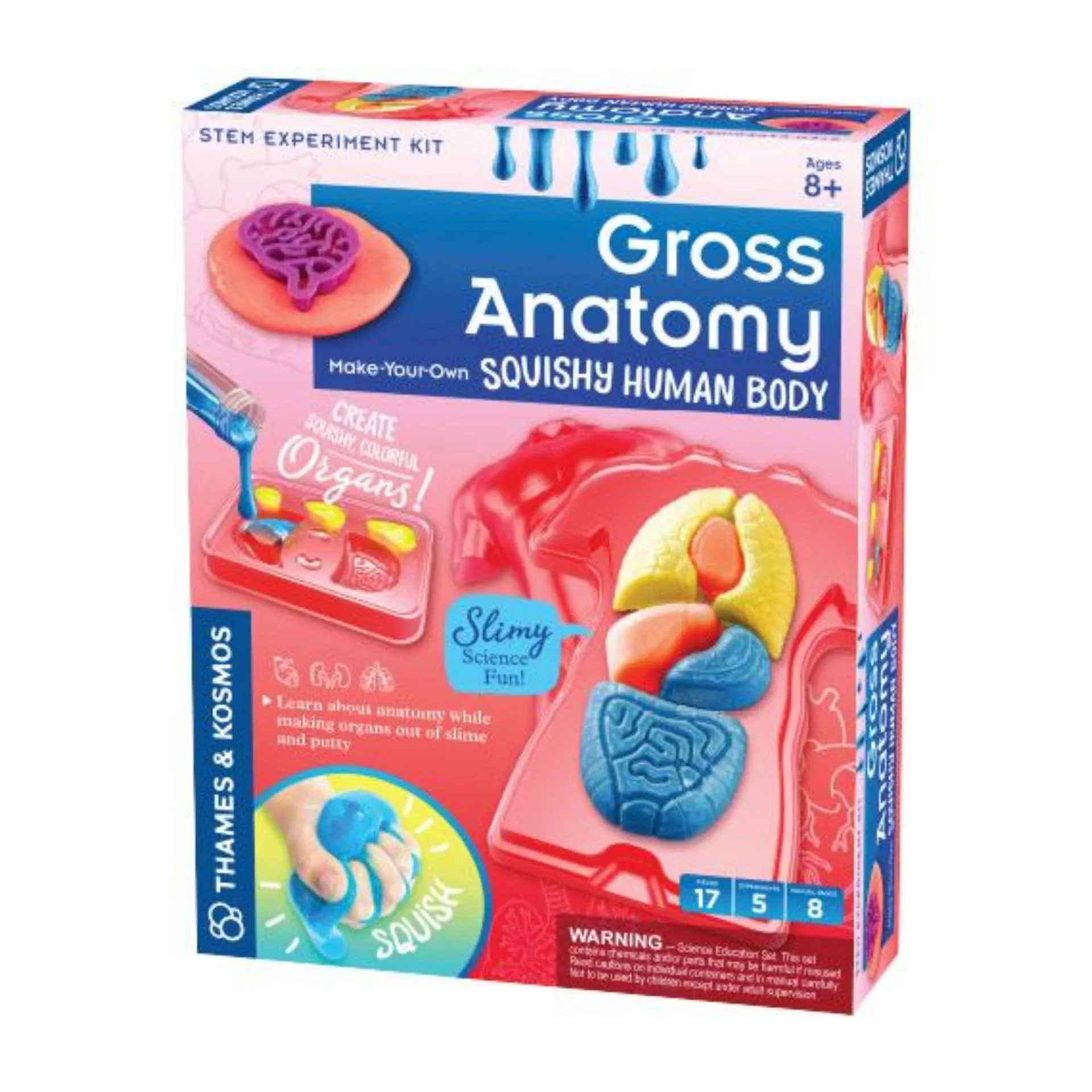 Gross Anatomy: Make-Your-Own Squishy Human