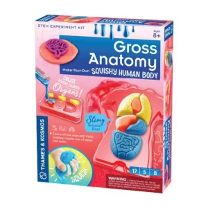 Gross Anatomy: Make-Your-Own Squishy Human