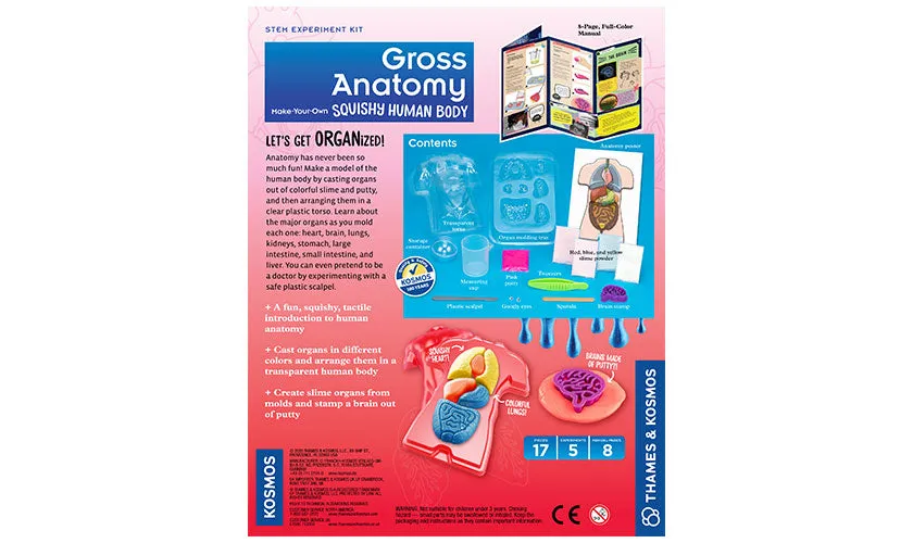 Gross Anatomy: Make-Your-Own Squishy Human