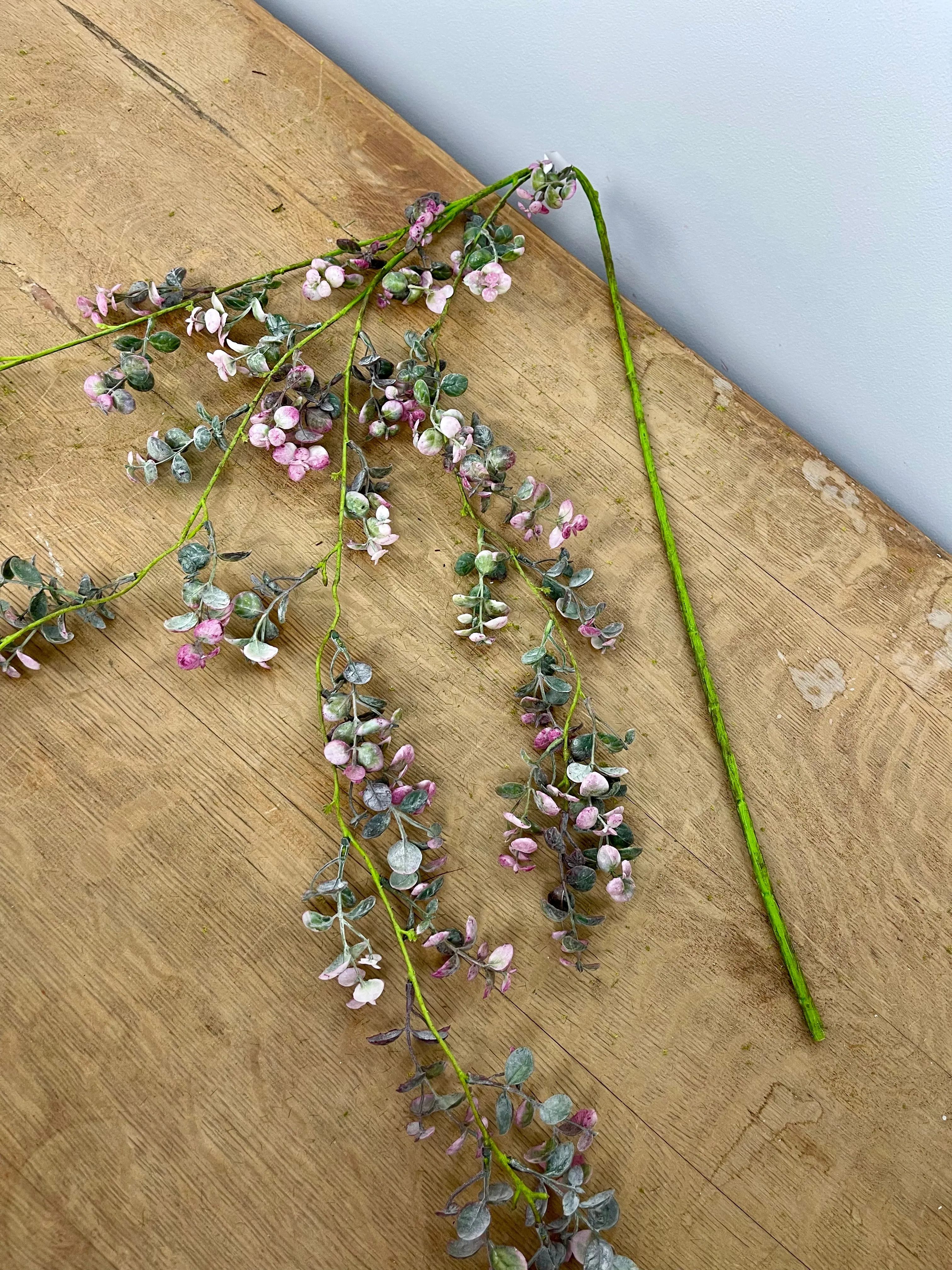 Hanging Pebble Eucalyptus Spray