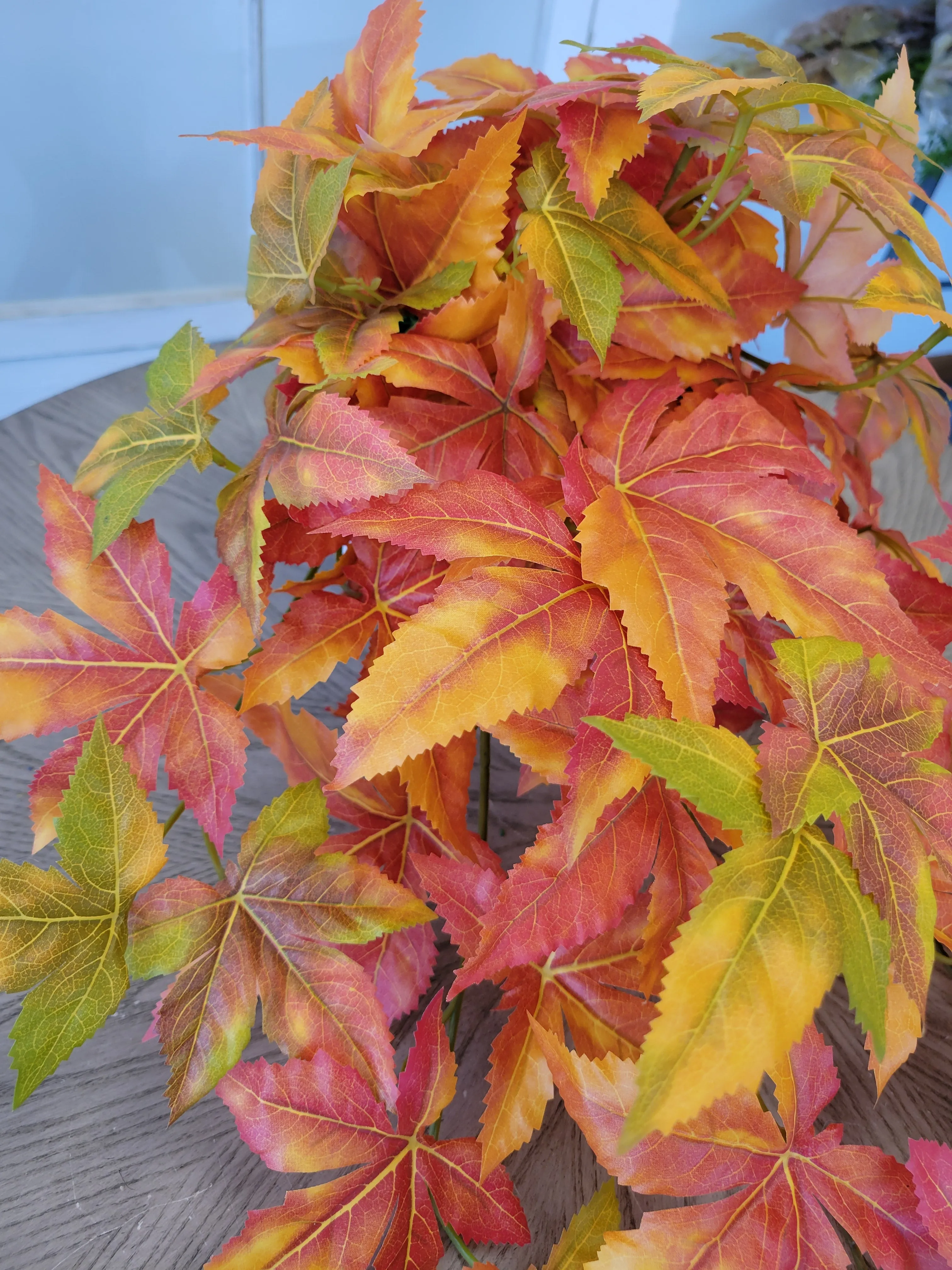 Japanese Maple Leaf Vine