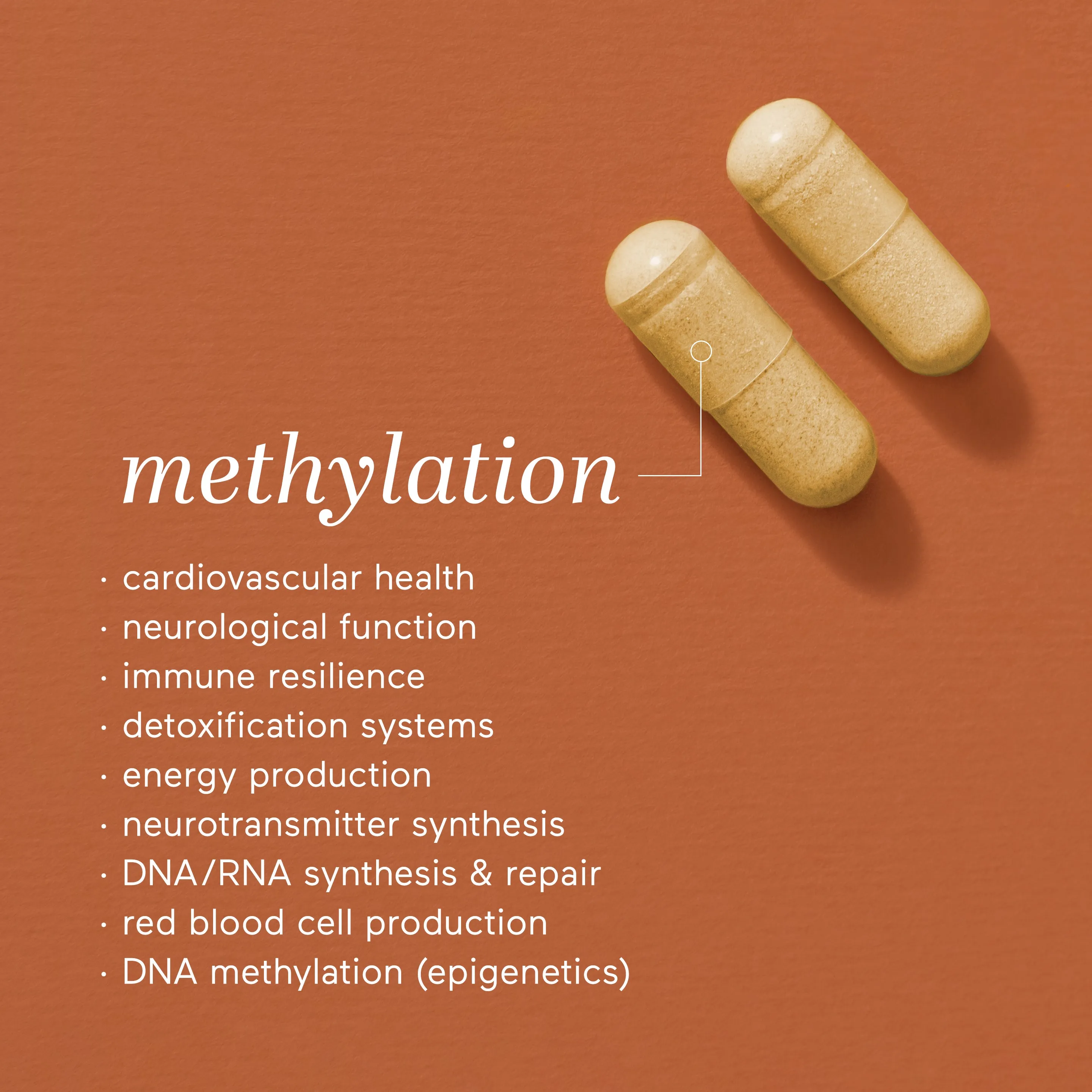 methylation B complex 