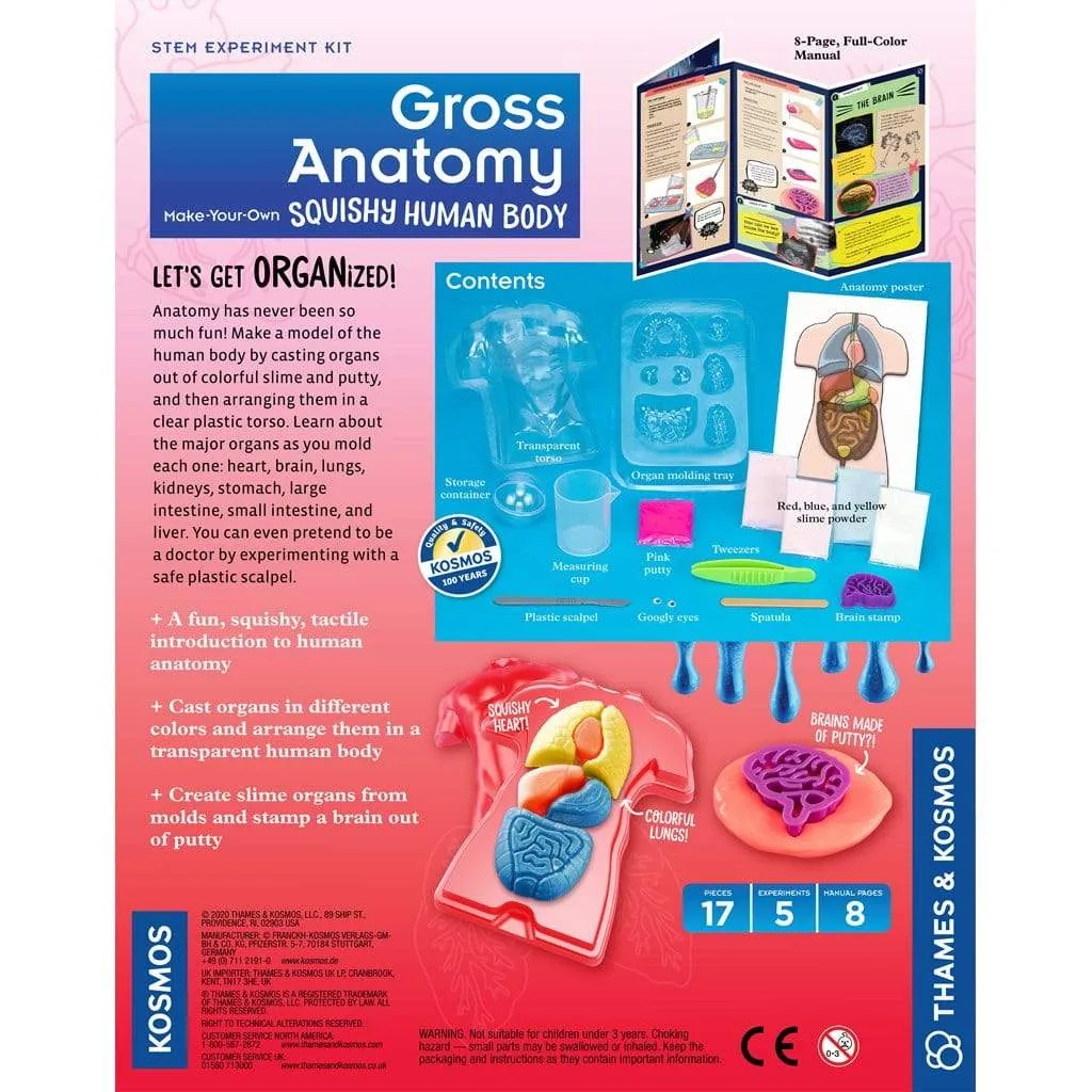 Thames & Kosmos Gross Anatomy Make-Your-Own Squishy Human Body Science Kit