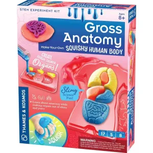 Thames & Kosmos Gross Anatomy Make-Your-Own Squishy Human Body Science Kit