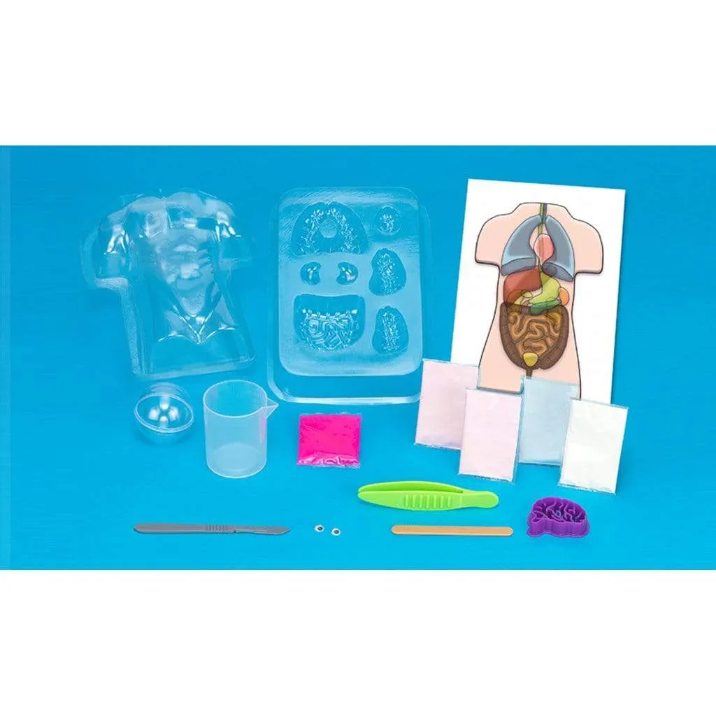 Thames & Kosmos Gross Anatomy Make-Your-Own Squishy Human Body Science Kit